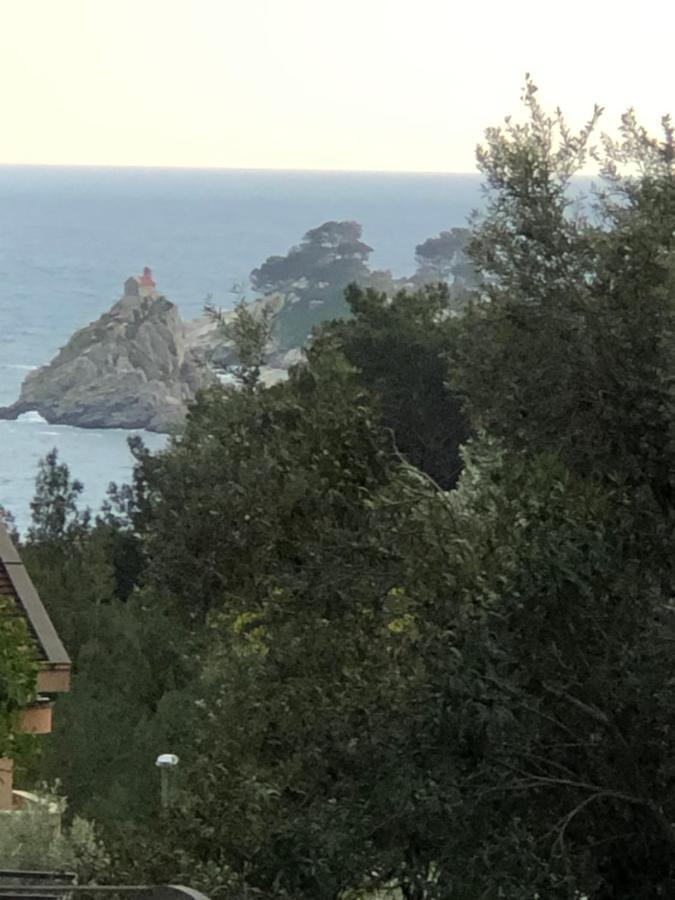 Apartmani Lime Petrovac na moru Exterior foto